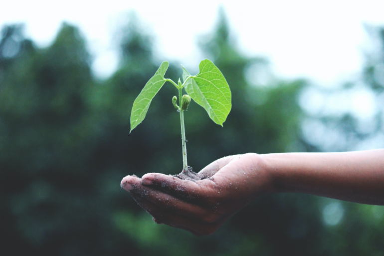 Embracing Sustainability: A Guide to Living a Greener Life